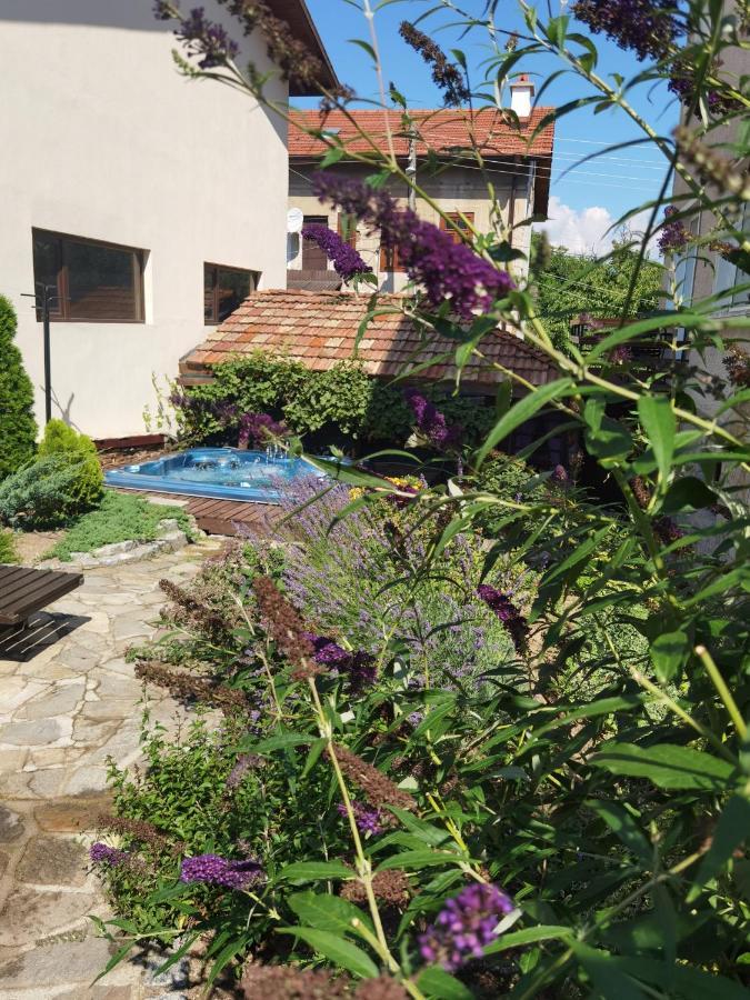 Mira Guest House Dobrinishte Buitenkant foto